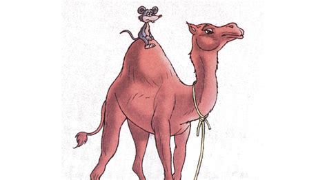  「Camel and Tortoise」：賢明なカメと傲慢なラクダの物語！